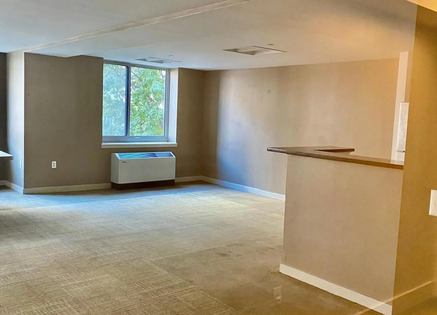 The Kalahari Bunk Bed And Bath Apartment New York